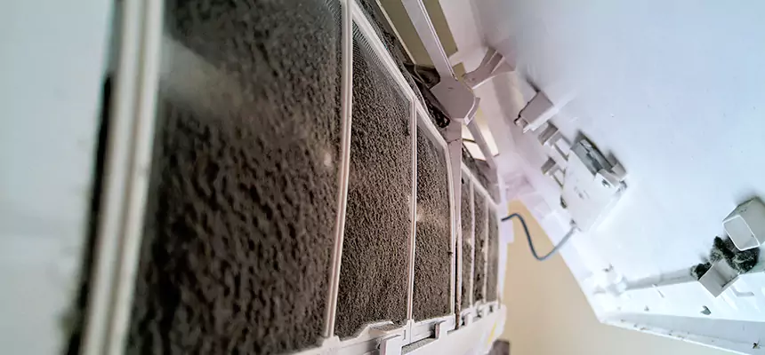 Preventive Air Duct Bacteria Removal in Sheboygan