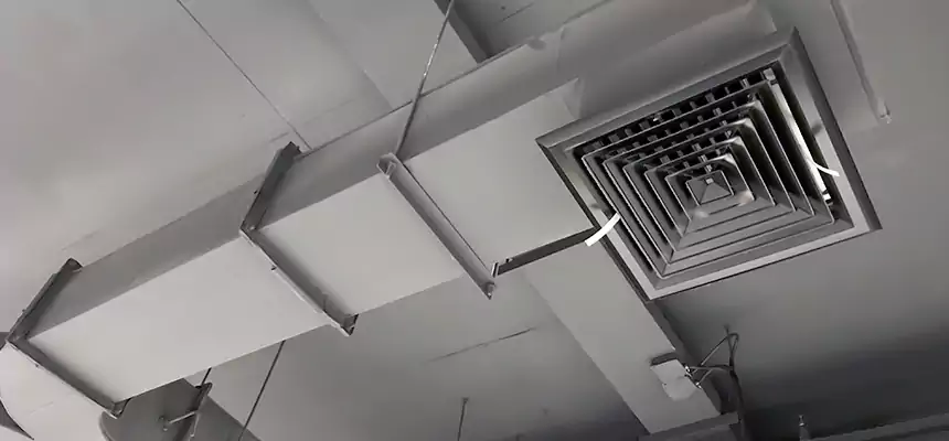 Restorative Allergy Relief Vent Cleaning – Coil, Blower & Housing Detail in Sheboygan