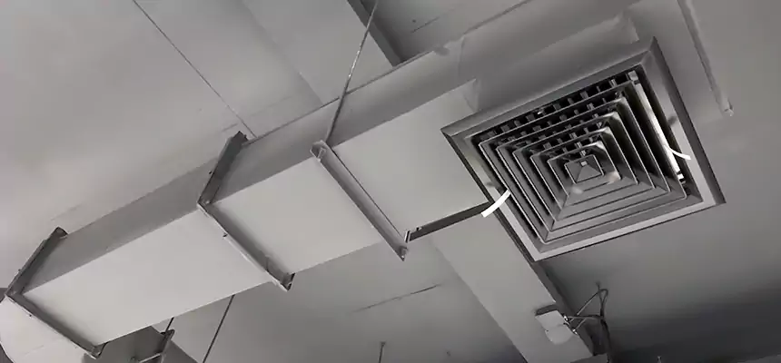 Our Pest Removal From Ducts Services in Sheboygan, WI