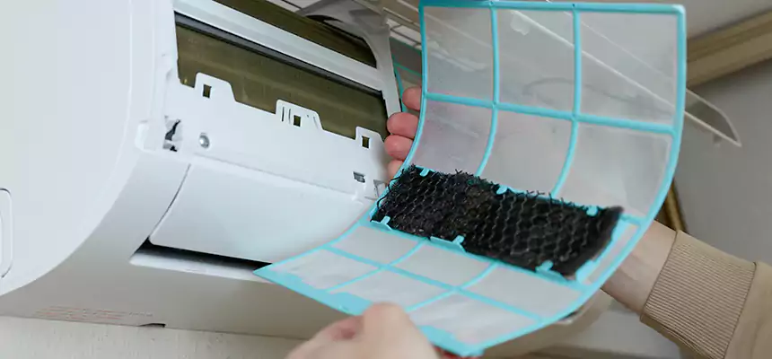 Gentle Ductwork Odor-Control Pet Dander Duct Cleaning in Sheboygan, WI