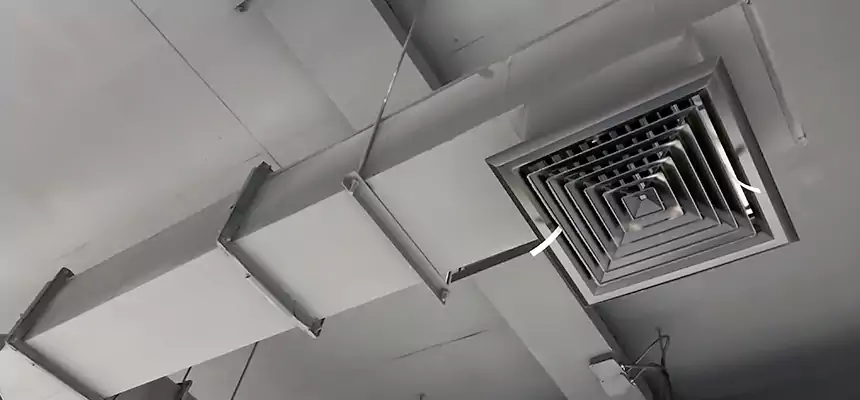 Our Rodent Droppings In Vents Services in Sheboygan, WI