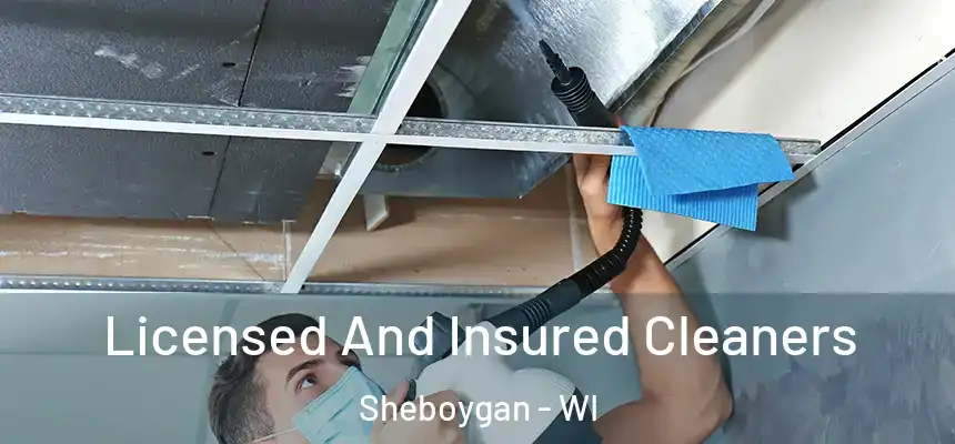  Licensed And Insured Cleaners Sheboygan - WI