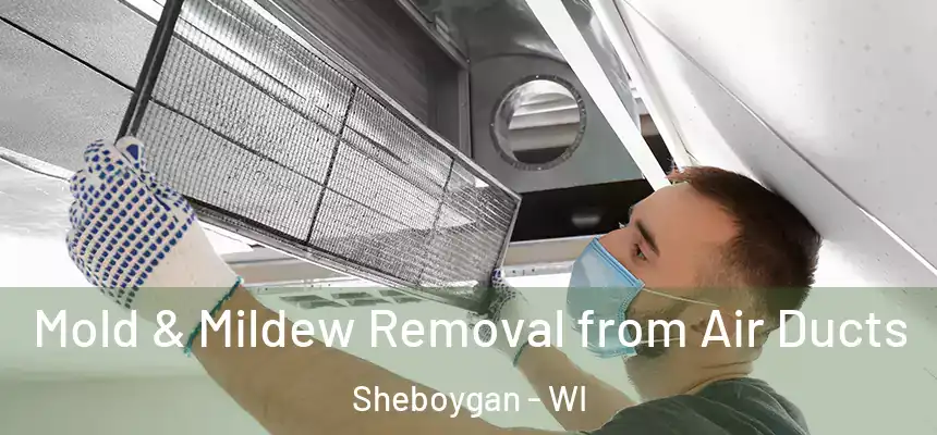  Mold & Mildew Removal from Air Ducts Sheboygan - WI