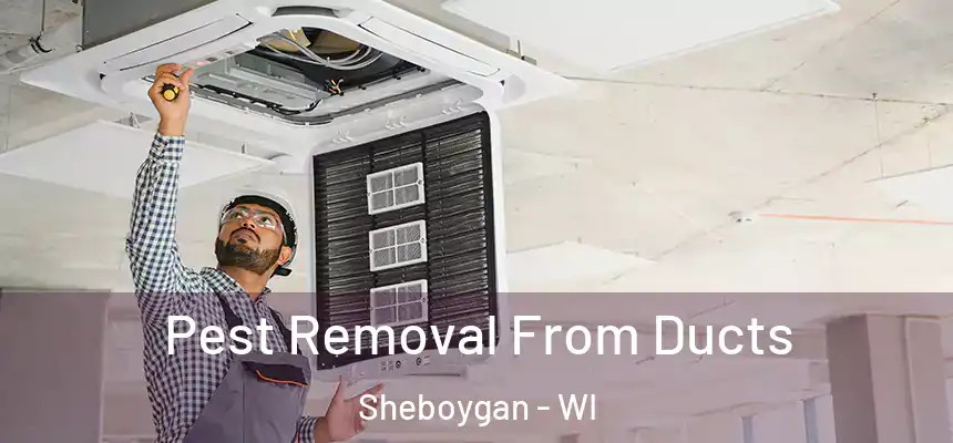  Pest Removal From Ducts Sheboygan - WI