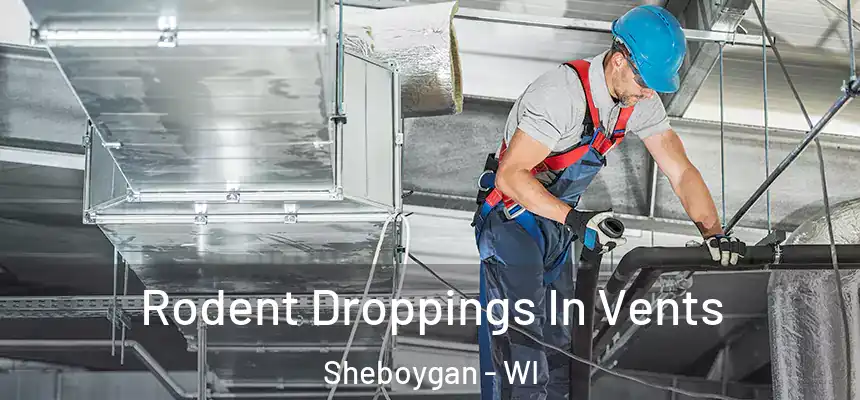  Rodent Droppings In Vents Sheboygan - WI