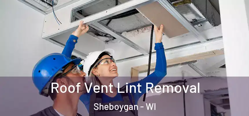  Roof Vent Lint Removal Sheboygan - WI