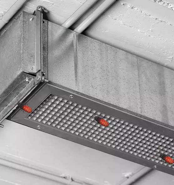 About Air Duct Cockroach Removal in Sheboygan, WI