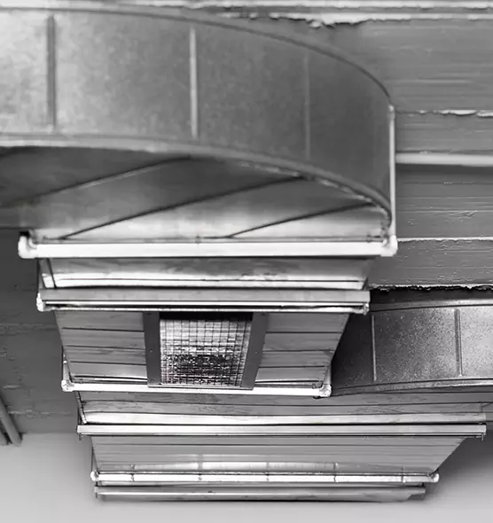 Professional Air Duct Pet Hair Removal in Sheboygan, WI