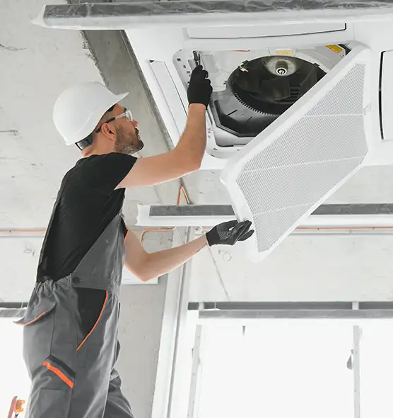 About Air Duct Rodent Removal in Sheboygan, WI