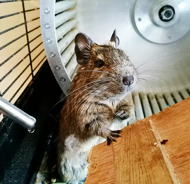 Why Homeowners & Businesses Trust Us Sheboygan, WI?